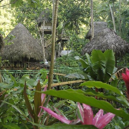 Dominican Tree House Village Santa Barbara De Samana Zewnętrze zdjęcie