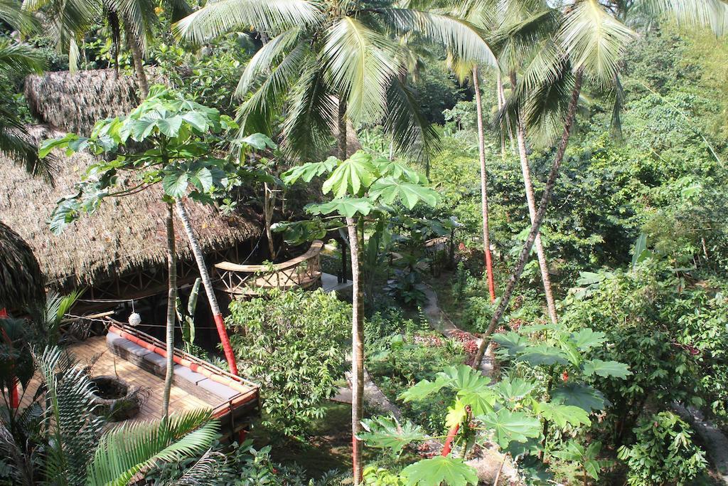 Dominican Tree House Village Santa Barbara De Samana Zewnętrze zdjęcie