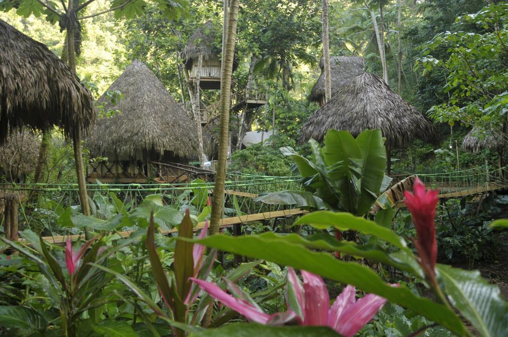 Dominican Tree House Village Santa Barbara De Samana Zewnętrze zdjęcie