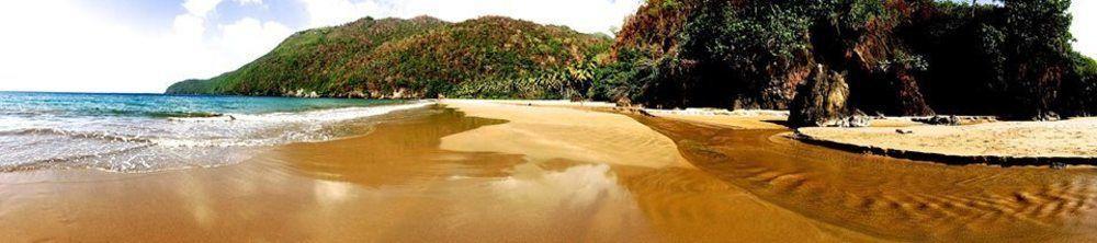 Dominican Tree House Village Santa Barbara De Samana Zewnętrze zdjęcie